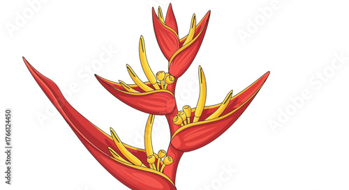 Vibrant tropical heliconia flower illustration with bold red and gold tones