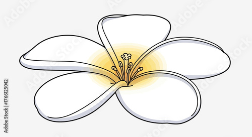 Elegant Plumeria Flower Illustration with Delicate Outlines and Subtle Shading