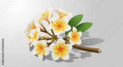Illustrative Tropical Frangipani Blooms with Foliage on Subtle Background