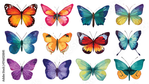 Vibrant Collection of Colorful Butterflies for Various Designs