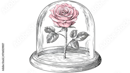 Elegant Rose in Glass Dome with Vector Outline