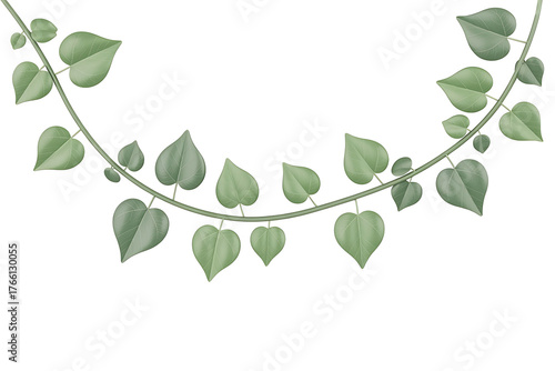 Delicate green vine with lush leaves gracefully curves, evoking nature's tranquility and organic beauty.