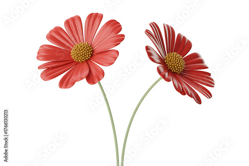 Two vibrant red flowers with yellow centers bloom against a clean, white background.