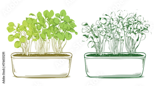 Professional Indoor Vegetable Greens & Microgreens Growing with Natural Lighting