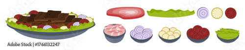 Isolated vector cuisine dishes with meat, onion, ham, tomatoes, garlic, lettuce and other ingredients 