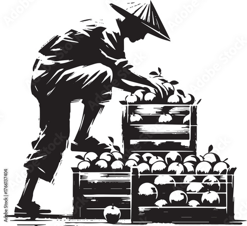 Sumi-e illustration of a fruit picker stacking apple crates with precision