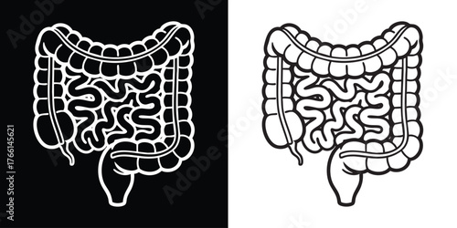 Black and white diagram showing the human colon anatomy for educational use