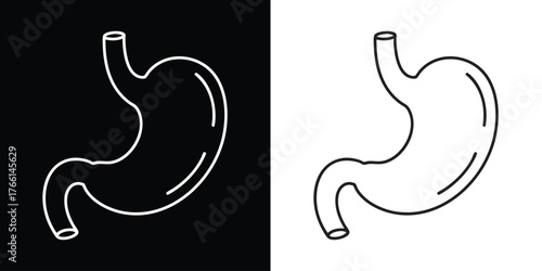 Human stomach line art anatomical design for medical, healthcare, educational use