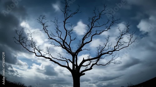 A lone tree's intricate branches slowly sway and dance in a strong wind, silhouetted dramatically against a fast-moving, cloudy sky in high detail slow motion weather, outdoors, serene