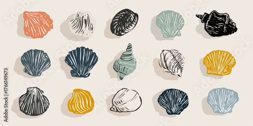 Una splendida collezione vettoriale di conchiglie marine illustrate a mano, che evoca la serenità dell'oceano e la bellezza naturale della spiaggia.