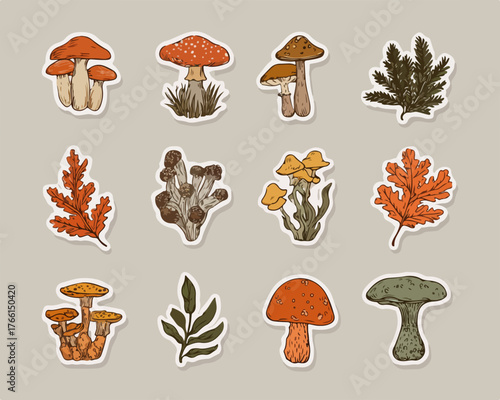 Una collezione di adesivi vettoriali raffiguranti funghi e foglie autunnali in stile vintage, perfetti per decorazioni naturali e illustrazioni.