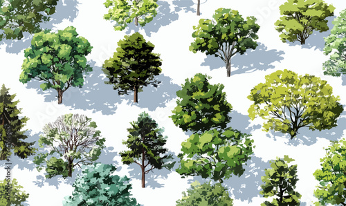 Una collezione diversificata di alberi vettoriali, che mostra varie specie e un fogliame verde lussureggiante, ideale per progetti ambientali e di design.