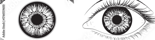Detailed human eye illustration in black and white line art style