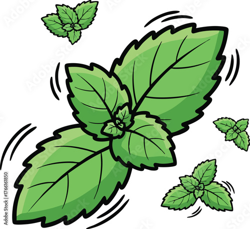 Green Mint Leaves With Wavy Lines On White Background