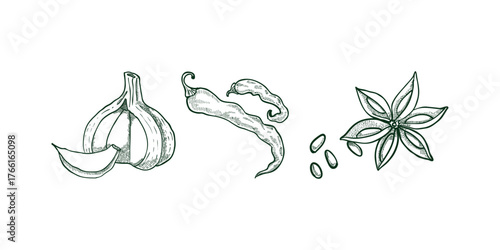 Set Herbs and spices hand drawn Sketch vector vintage