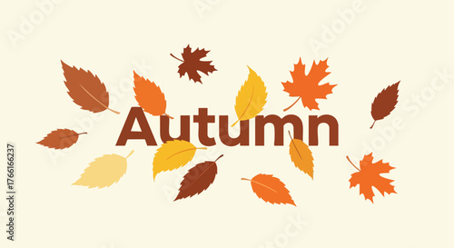 Autumn Leaves Scattered In Warm Natural Colors.