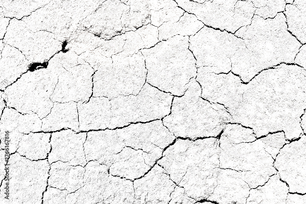 Fototapeta premium Texture soil dry crack background pattern of drought lack of water of nature white black old broken.