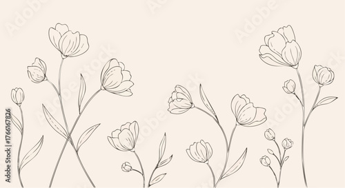 Floral line art tulip outlines.