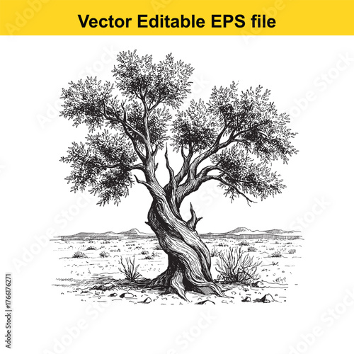 Vector art of artistic rendering of a solitary, ancient olive tree with a thick, twisted trunk and lush leaves