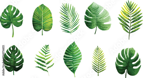 collection of green leaves