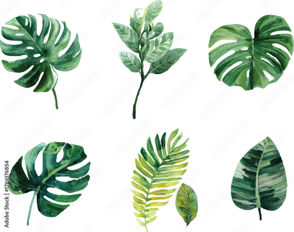 Obraz premium set of green leaves