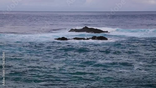 The powerful and dynamic sea of ​​AmamI