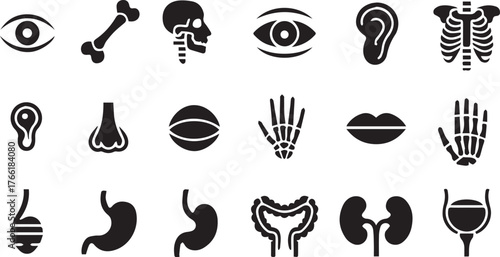 A set of black anatomy glyph icons featuring human body parts and organs, including a skull, bone, ear, nose, ribs, eye, lips, stomach, hands, kidneys, and urinary system — all in a simple vector.