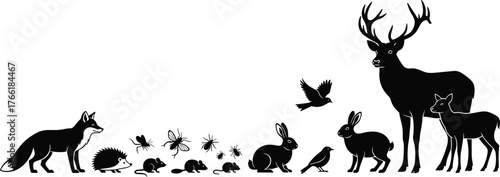 Forest animal silhouette set featuring wildlife species like deer, fox, rabbit, bird, insect, biodiversity vector for nature illustration