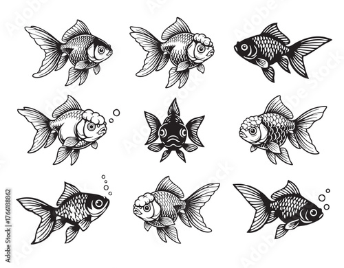 Hand-drawn black and white vector set of fancy goldfish, showcasing different fins and body shapes, suitable for aquatic and pet themes