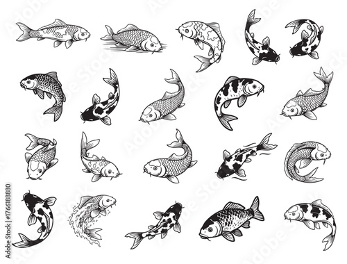 Extensive collection of Koi fish vector of illustrations in various swimming and jumping poses, in a black and white line-art style. Pet.