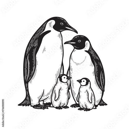 Heartwarming black and white depiction of an Emperor penguin family with two adults and two small chicks. Vector illustration.