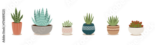 Succulent Plants in Decorative Pots Vector Illustration. Modern Flat Design Collection of Indoor Houseplants, Minimalist Botanical Art for Home Decor, Gardening, and Eco-Friendly Lifestyle Concepts