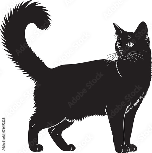 Elegant black cat silhouette standing proudly with bushy tail and alert eyes full body view