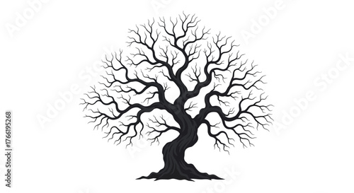 A stark, silhouetted image of a large, ancient oak tree with no leaves, its gnarled branches reaching outwards against a white background.