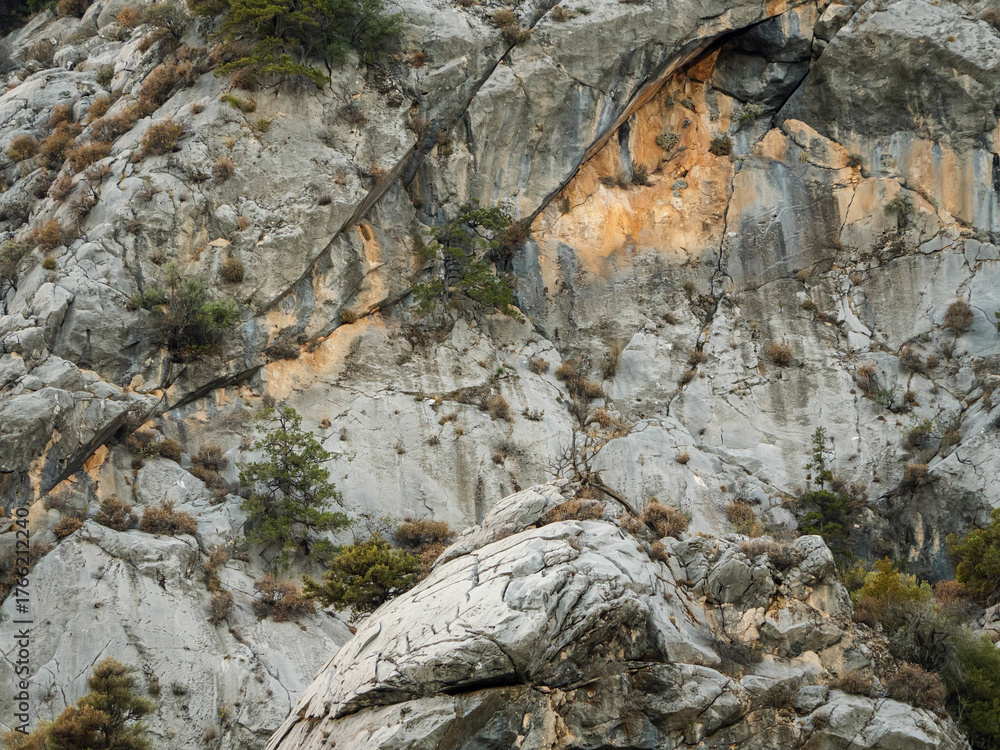Obraz premium A detailed landscape of a rocky mountainside with various textures and colors in the stone and green vegetation clinging to the cliffs