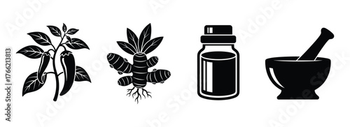 Natural Spices and Herbs Icons Set Ginger Chili Mortar Pestle Essential Oil