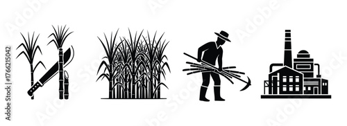 Sugarcane farming and processing icons set for agriculture industry