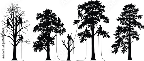 Tree workers pruning and cutting branches with climbing ropes and safety gear, forest maintenance concept, cad drawing flat vector illustration