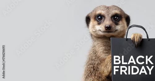 A cute adorable Meerkat promoting Black Friday's Sales. Copy space, neutral studio background. 