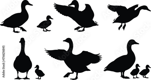Duck and duckling silhouette collection in flying and walking poses, wildlife bird design for nature art, cad drawing flat vector illustration