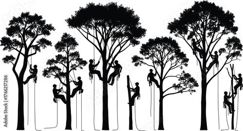 Tree climbing workers silhouette, arborist cutting and pruning branches, forestry maintenance teamwork, outdoor nature safety gear, cad drawing flat vector illustration