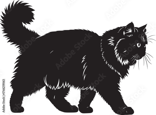 Majestic black cat silhouette majestic long-haired feline creature full body profile walking gracefully elegant domestic animal.