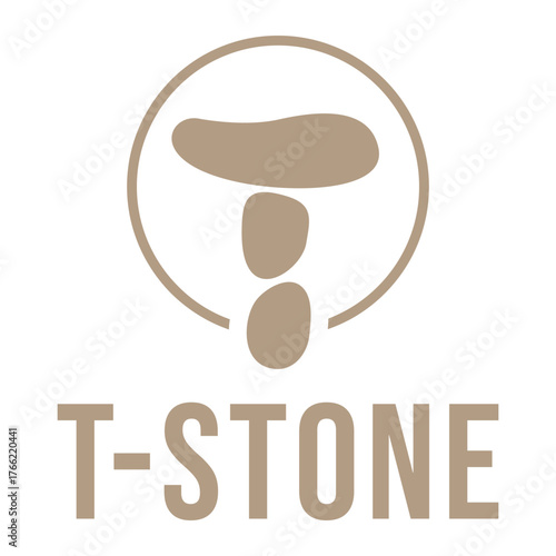 t letter stone flat minimalist logo design