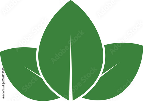 Abstract green leaves symbol organic nature eco friendly concept growth freshness health beauty life vector