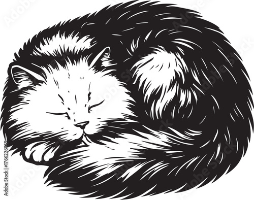 persian-cat-sleeping-curled-vector.eps