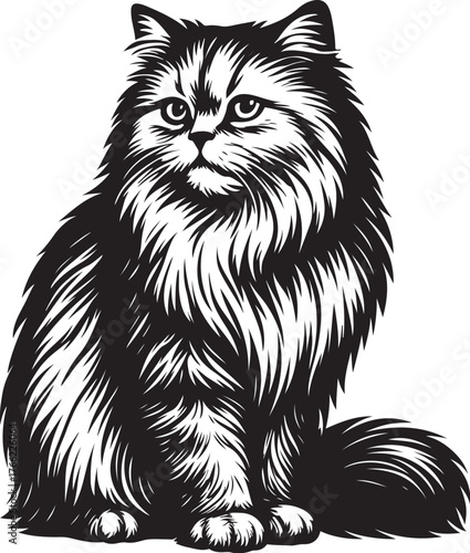 persian-cat-sideways-looking-over-shoulder-vector.eps