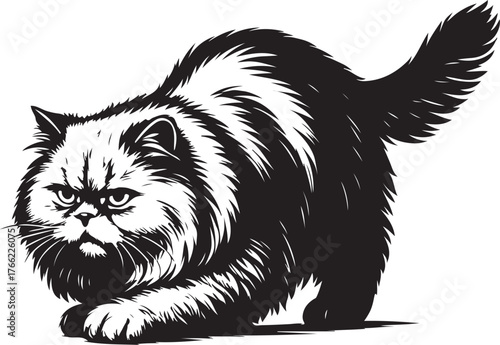 persian-cat-crouching-pounce-vector.eps