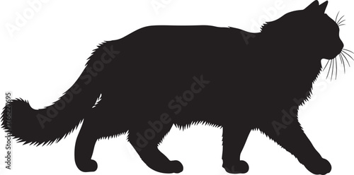 Elegant silhouette of a fluffy long-haired cat walking gracefully depicting a majestic feline form and poise