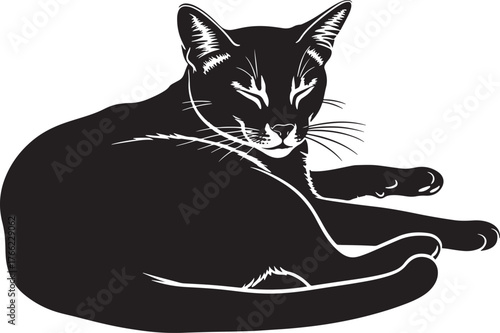 Elegant black cat silhouette relaxing gracefully pet animal feline domestic companion cute domesticated furry friend