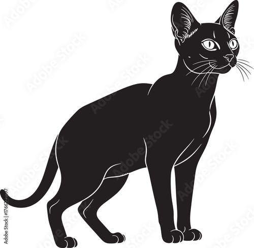 Elegant black cat silhouette with alert eyes and upright ears gracefully posed for pet lover's design projects